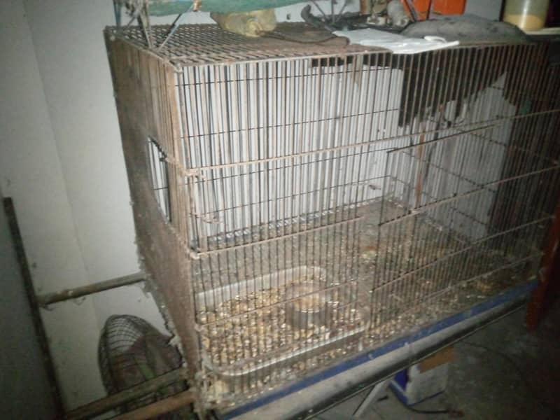 Folding cages 2