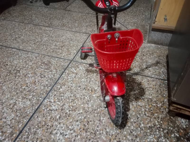 Sim Sim Bicycle 1