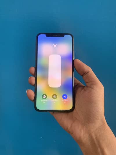 Apple iPhone X