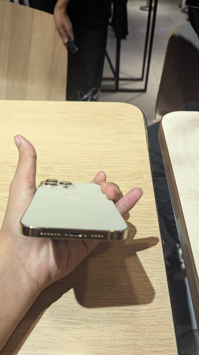Apple iPhone 13 Pro Max 1