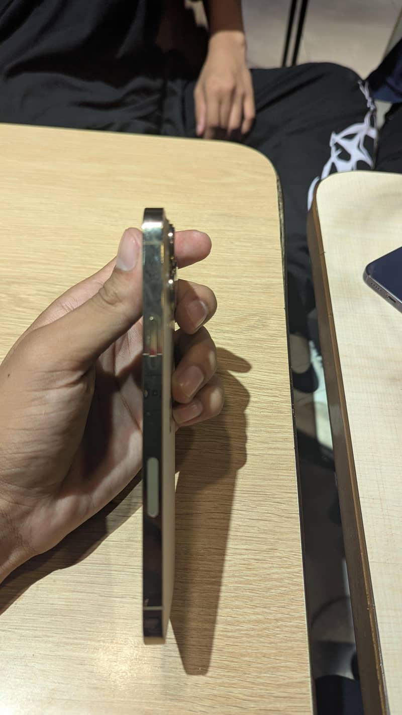 Apple iPhone 13 Pro Max 2