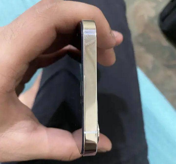 Apple iPhone 12 Pro Max 1