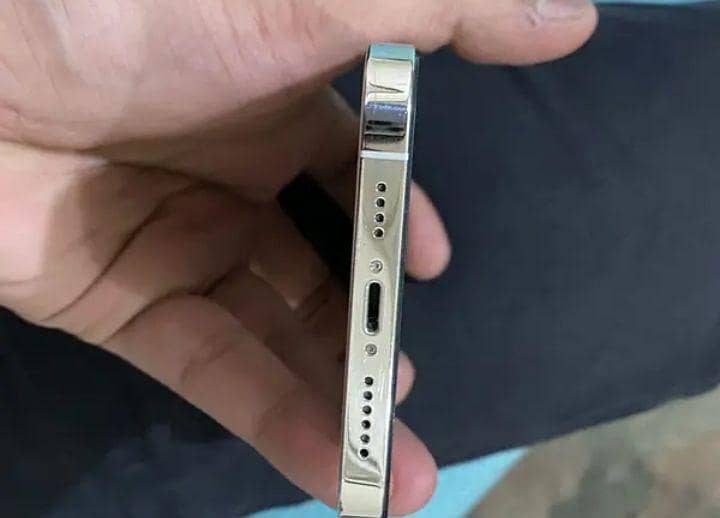 Apple iPhone 12 Pro Max 2