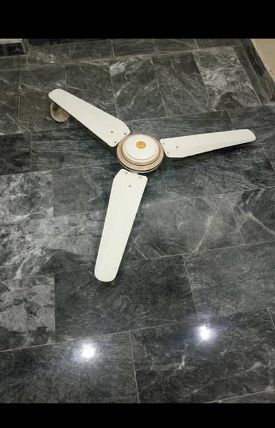 2 months use fan only