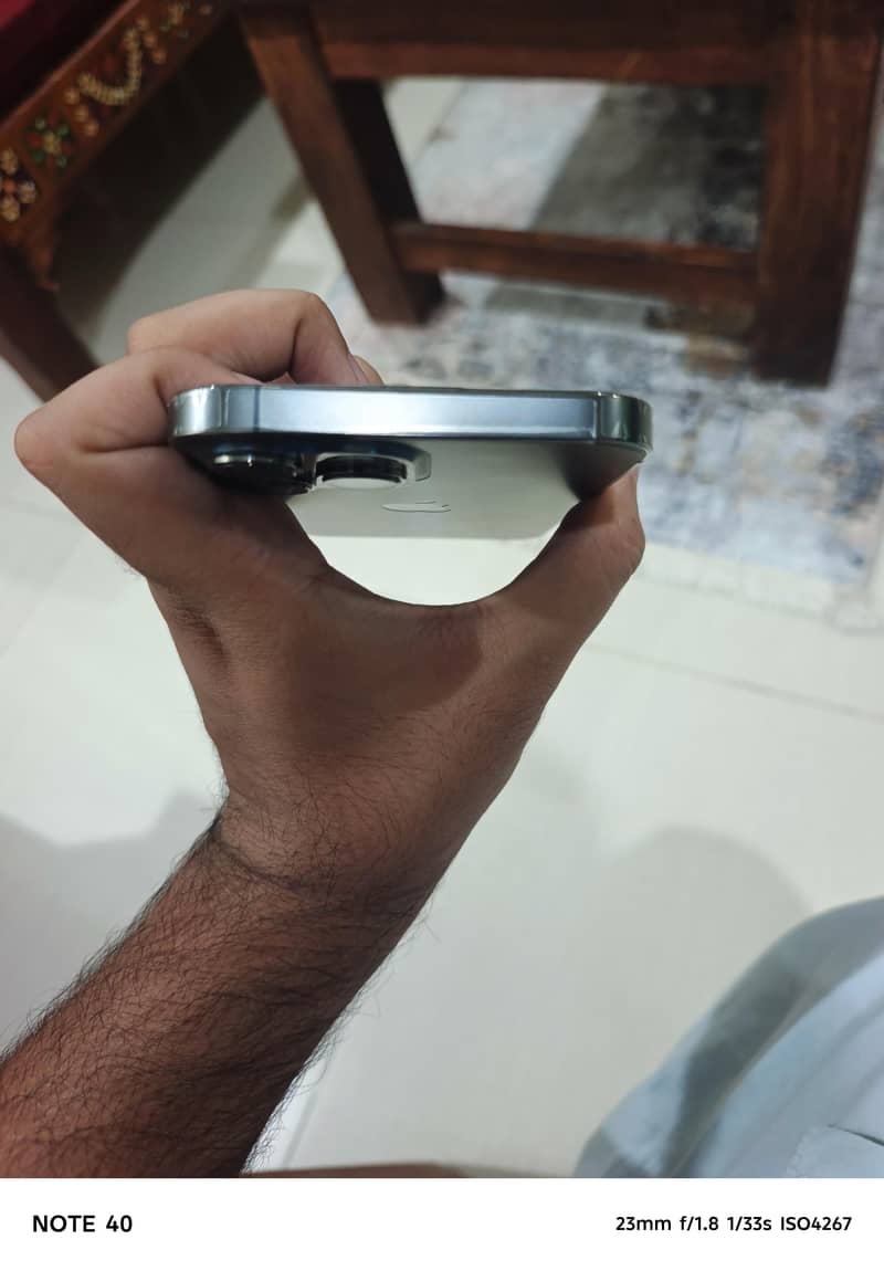 Apple iPhone 13 Pro Max 1
