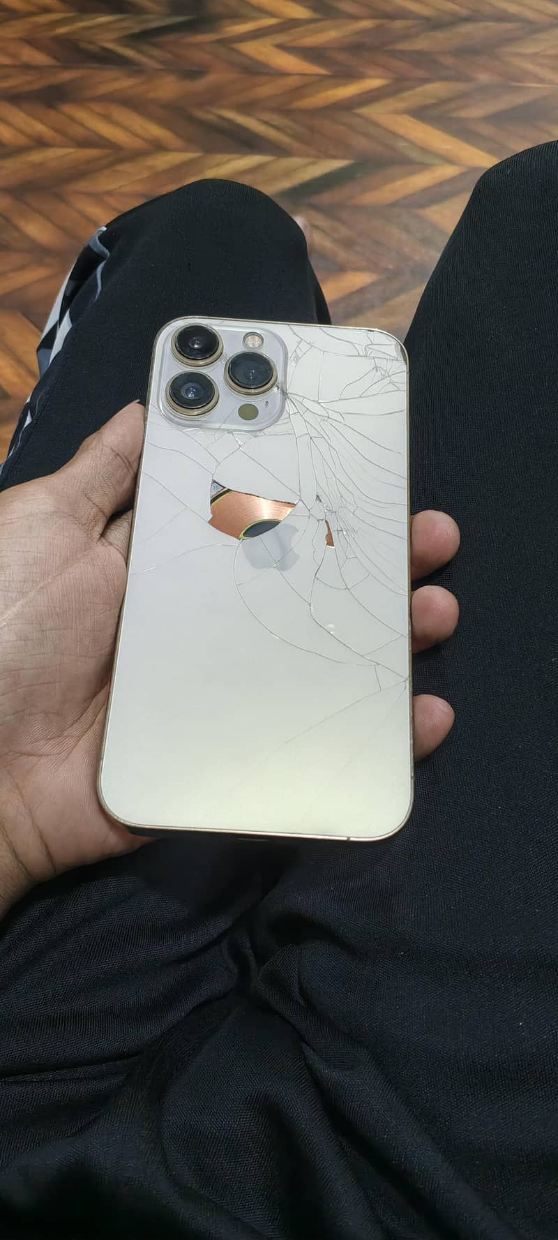 Apple iPhone 13 Pro Max 4