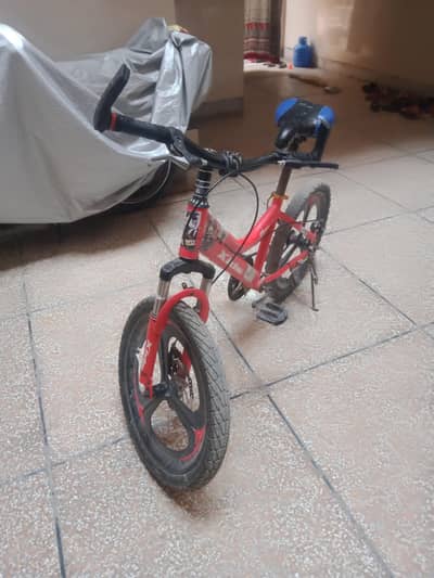 mountain bike