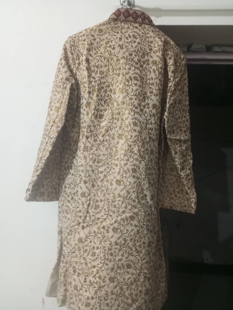 sharewani 1