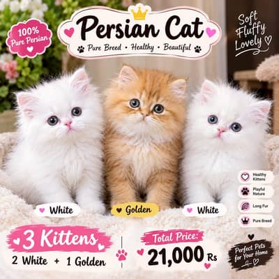 Nice cats