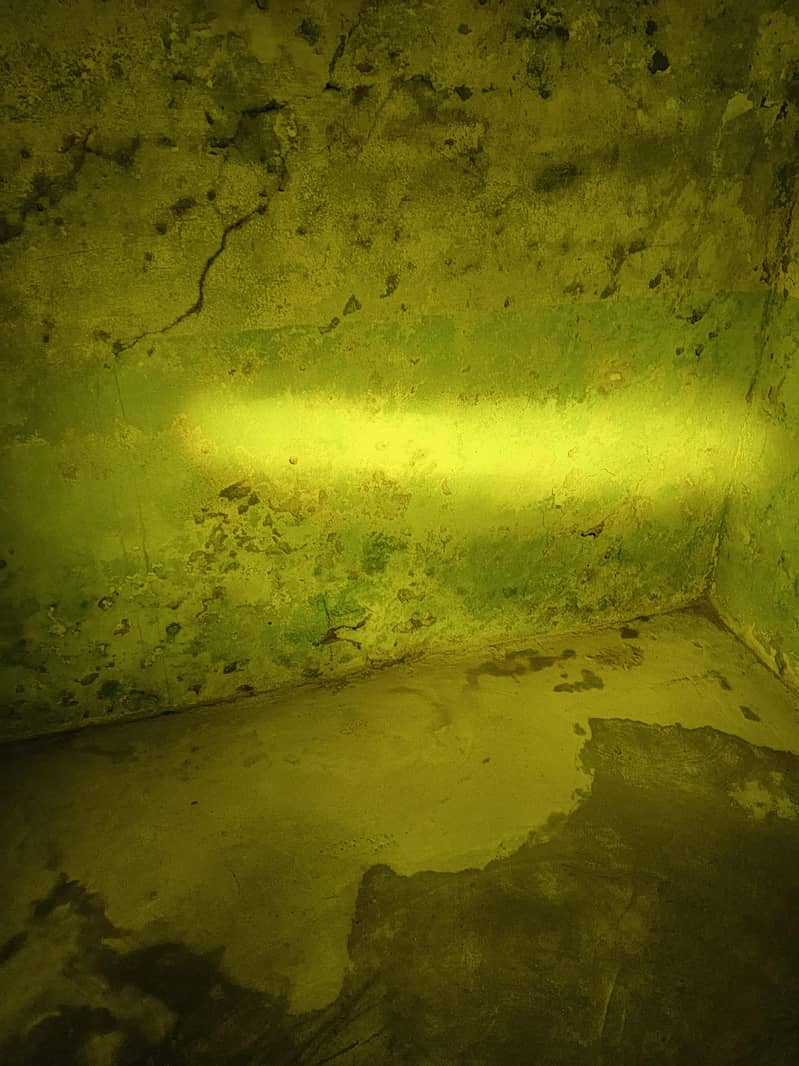 hd light ha 2