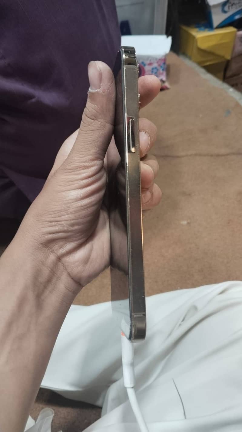 Apple iPhone 12 Pro Max 2