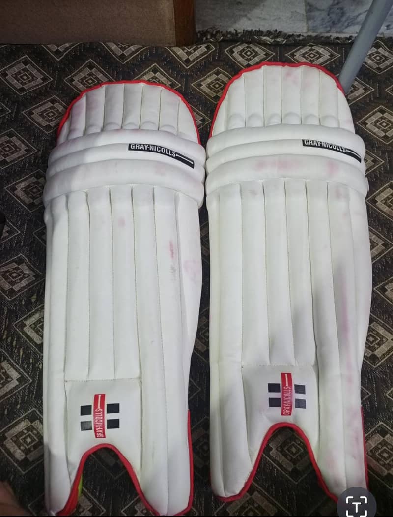 Cricket kit 2
