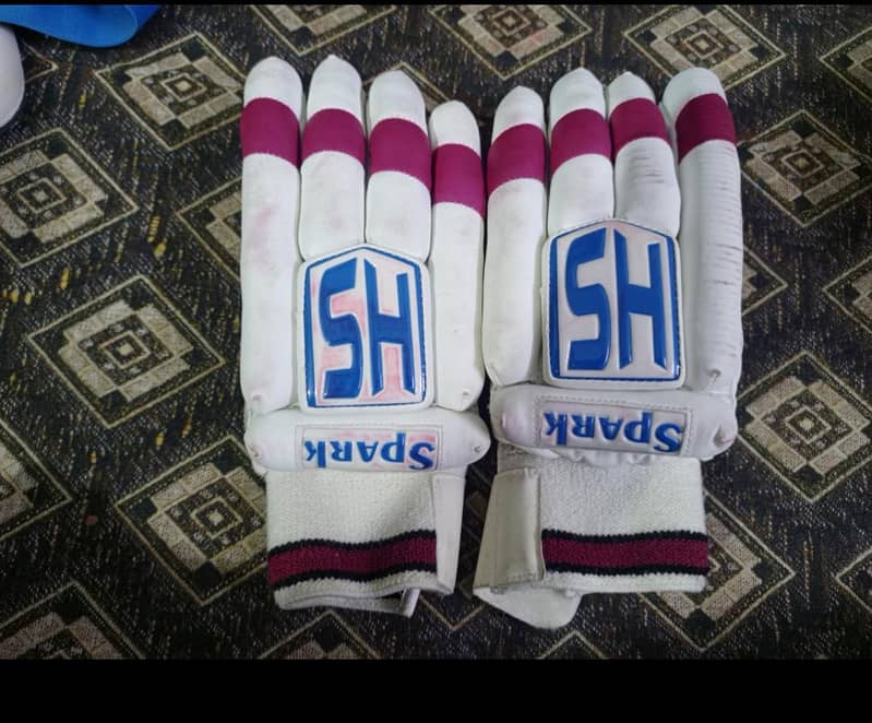Cricket kit 3