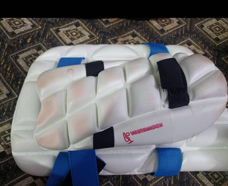 Cricket kit 4