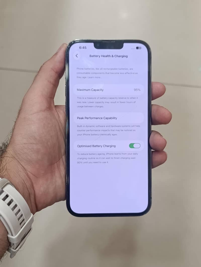 Apple iPhone 13 Pro Max 1