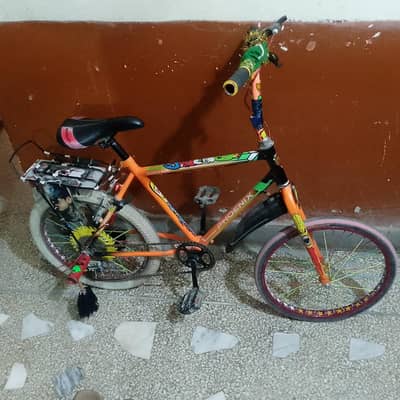 phoenix kids cycle