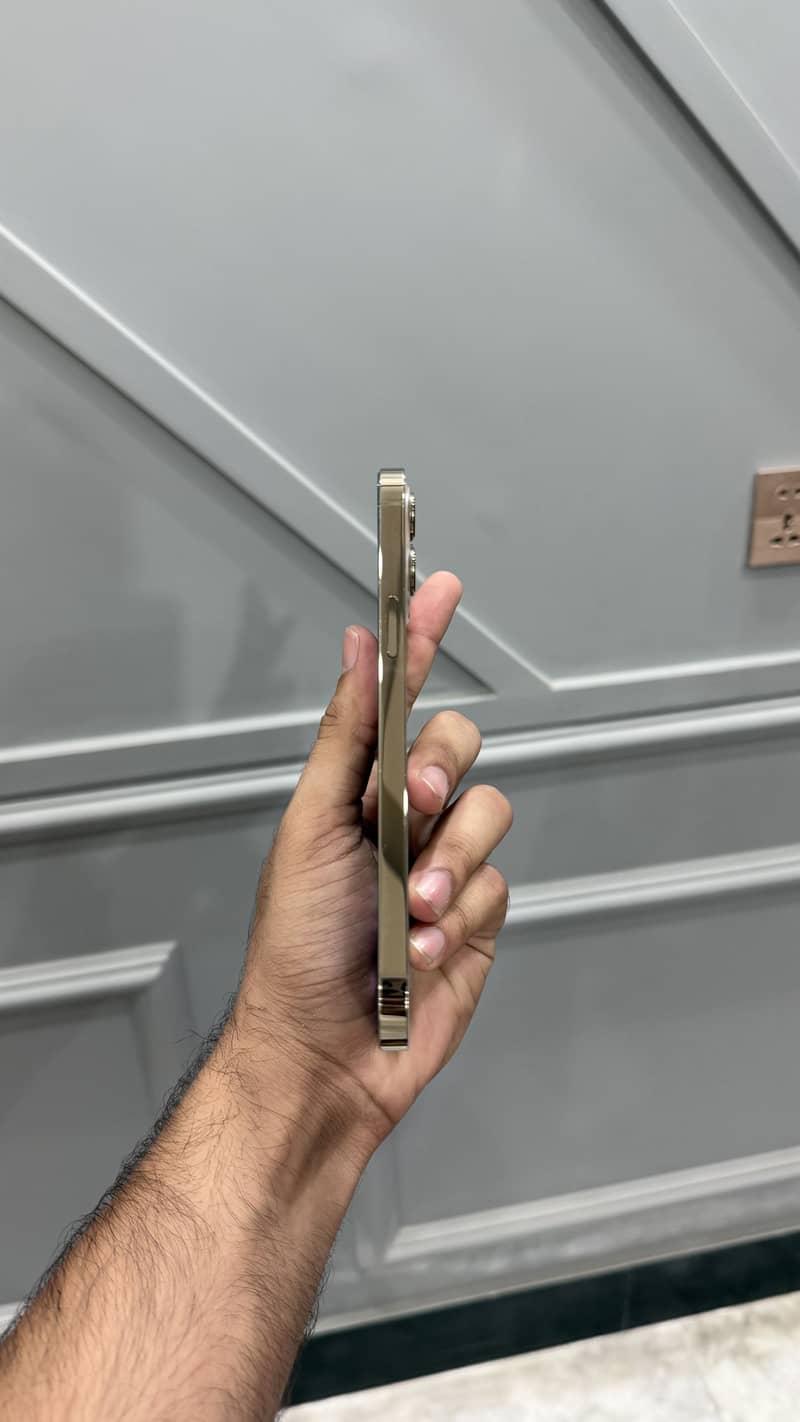 Apple iPhone 12 Pro Max 2