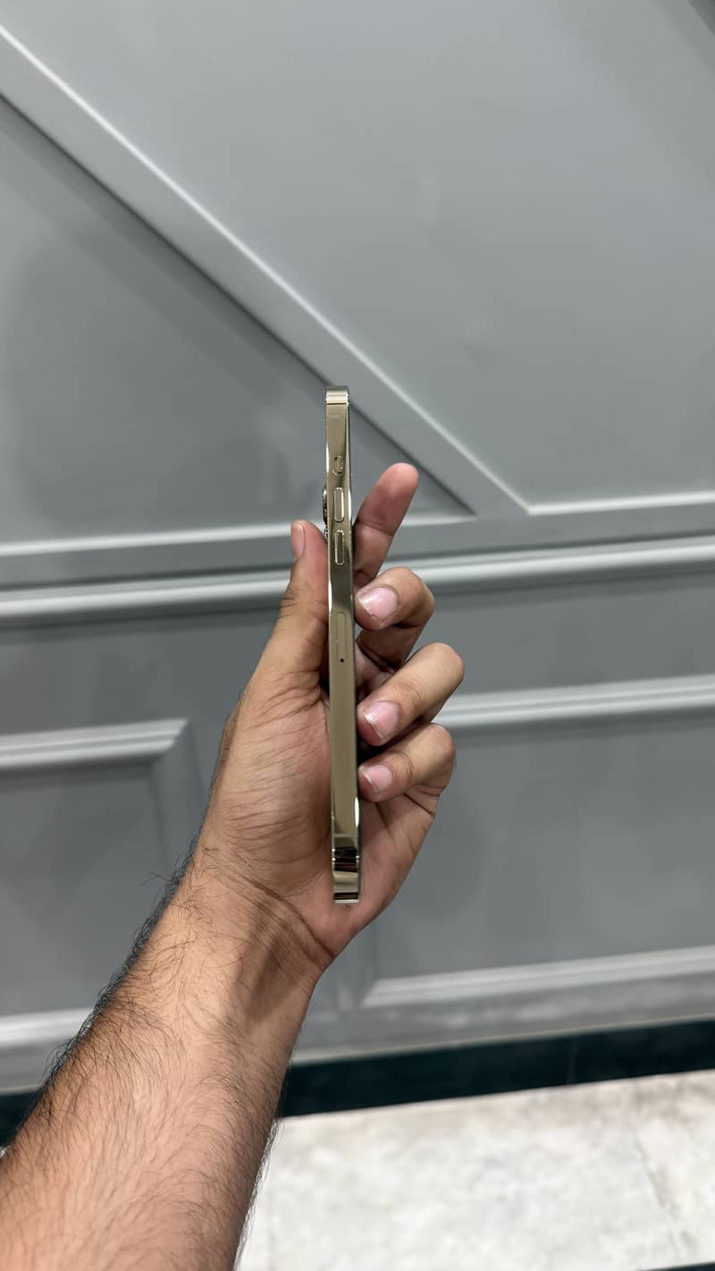 Apple iPhone 12 Pro Max 4