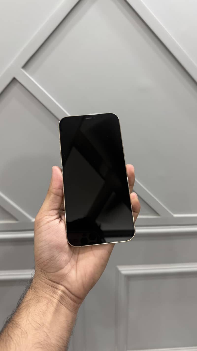 Apple iPhone 12 Pro Max 5