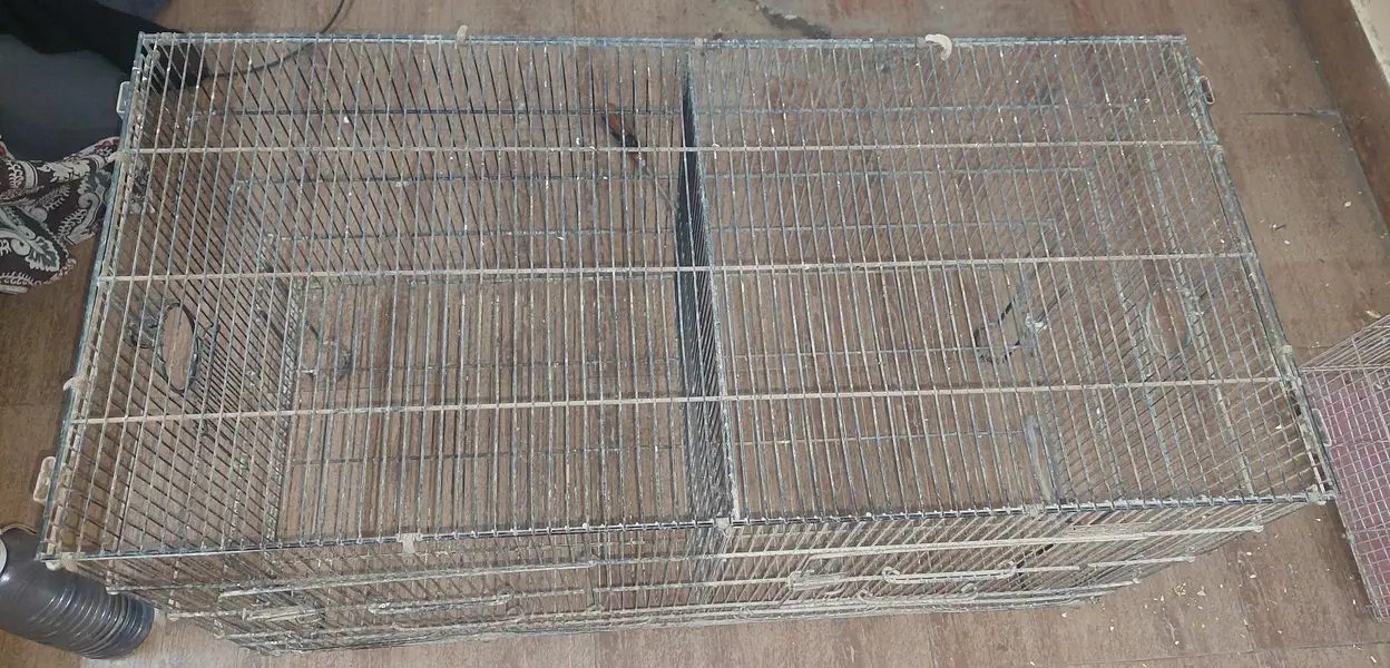 CAGE FOR BIRDS,3 FEET LENGHT,1.5 feet height — photo 2