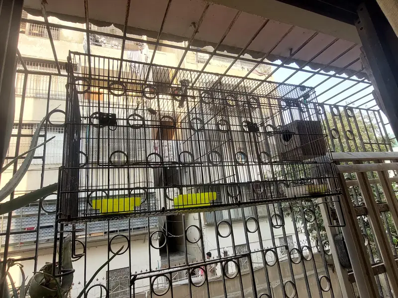 CAGE FOR BIRDS,3 FEET LENGHT,1.5 feet height — photo 3