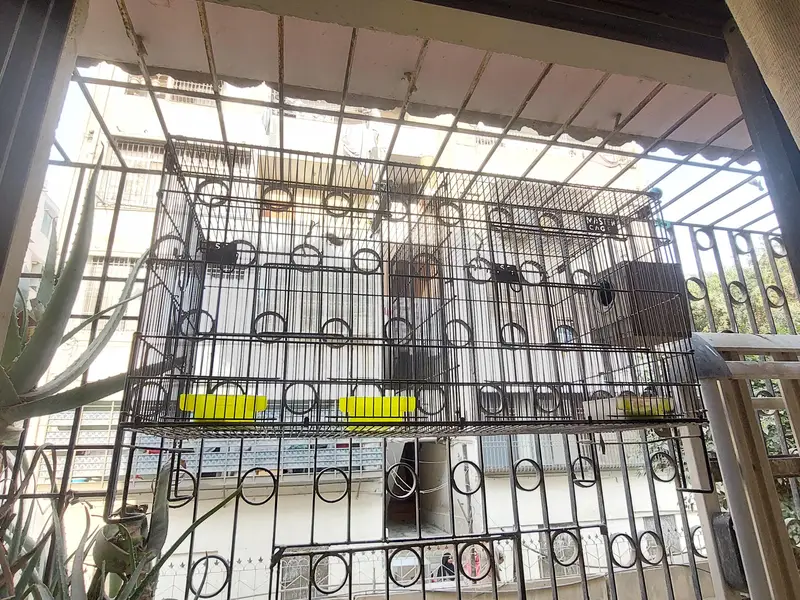 CAGE FOR BIRDS,3 FEET LENGHT,1.5 feet height — photo 4