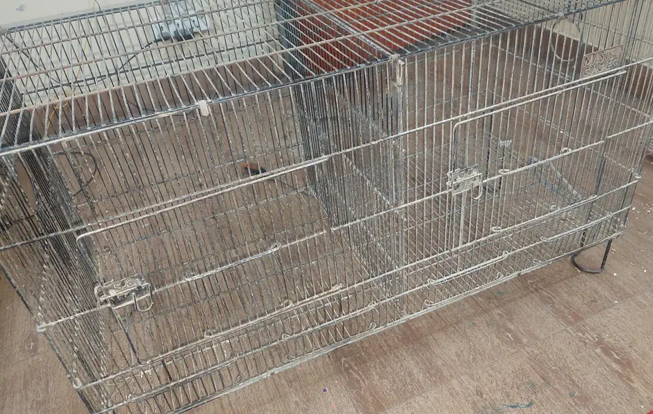 CAGE FOR BIRDS,3 FEET LENGHT,1.5 feet height — photo 5