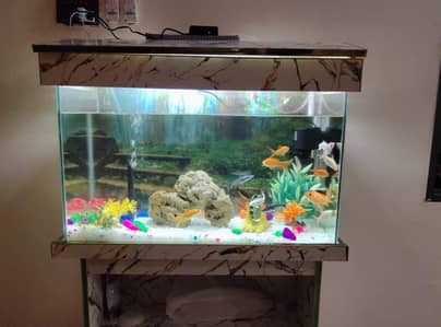 aquarium with wooden stand