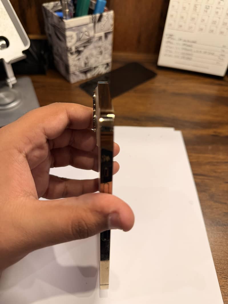 Apple iPhone 13 Pro Max 1