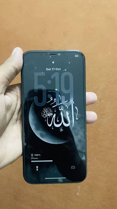 Apple iPhone 12 Pro Max