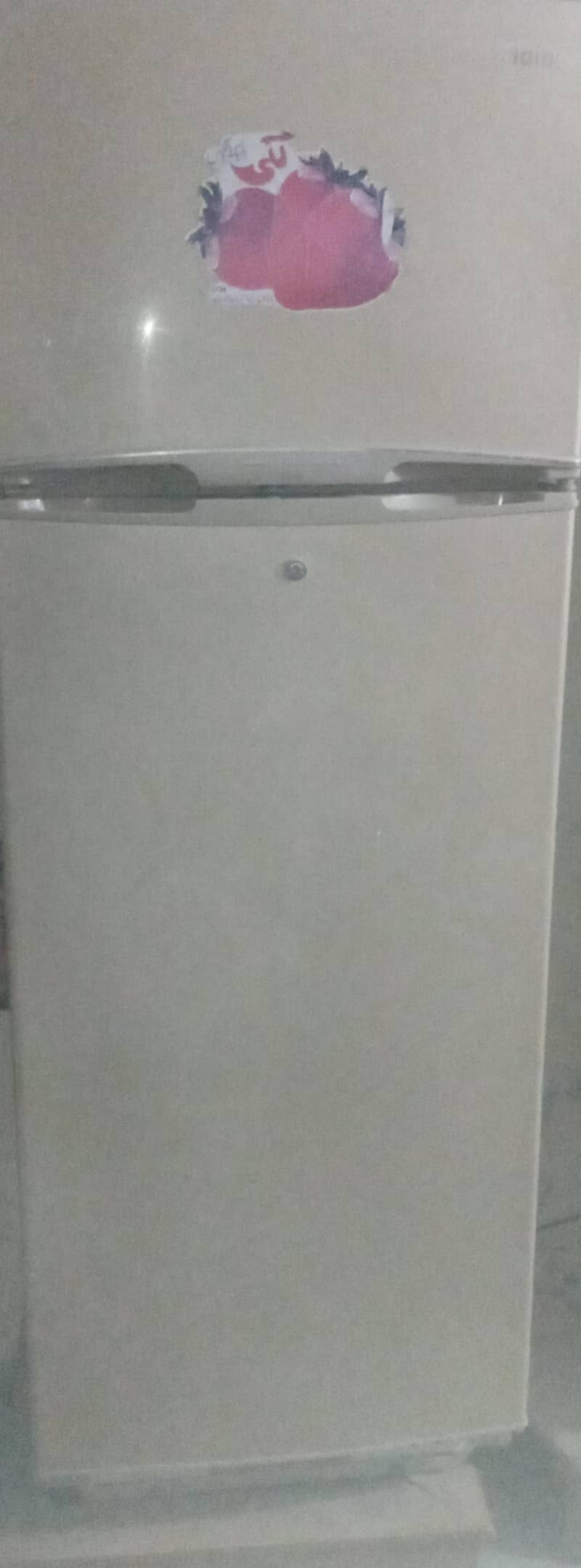fridge 0