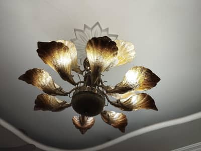 Chandelier Imported