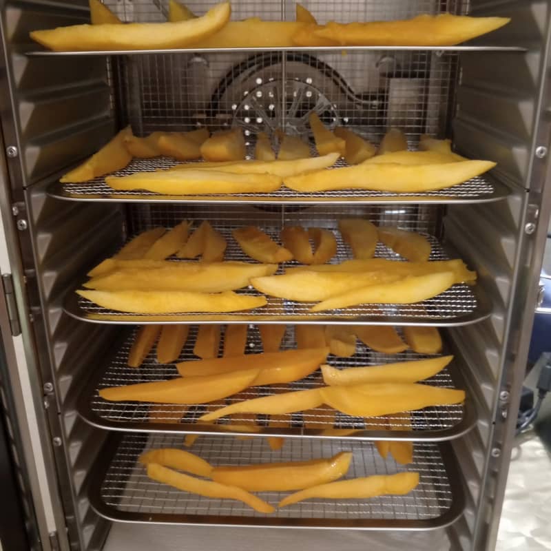 Fruit and vegetable dehydrator 2