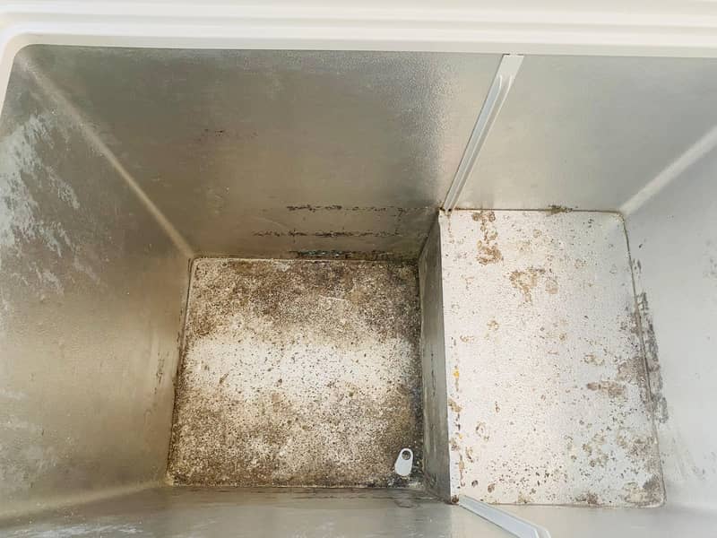 deep Freezer pro 3