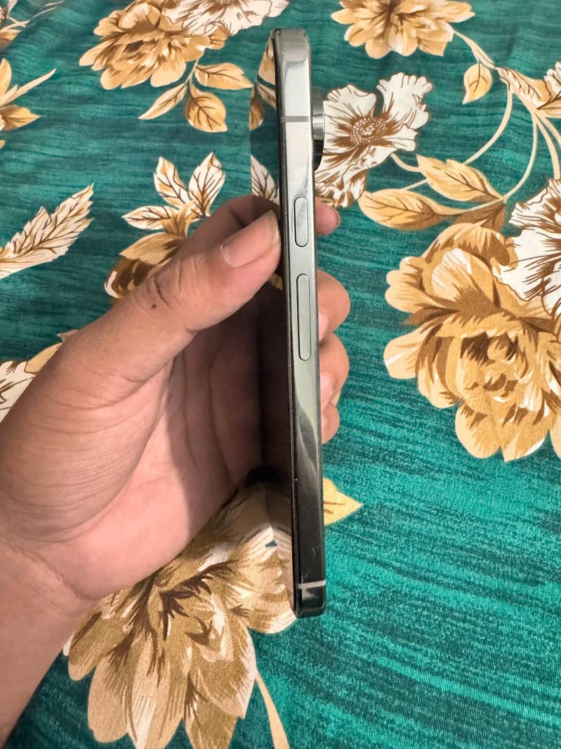 Google Pixel 9 Pro XL 1