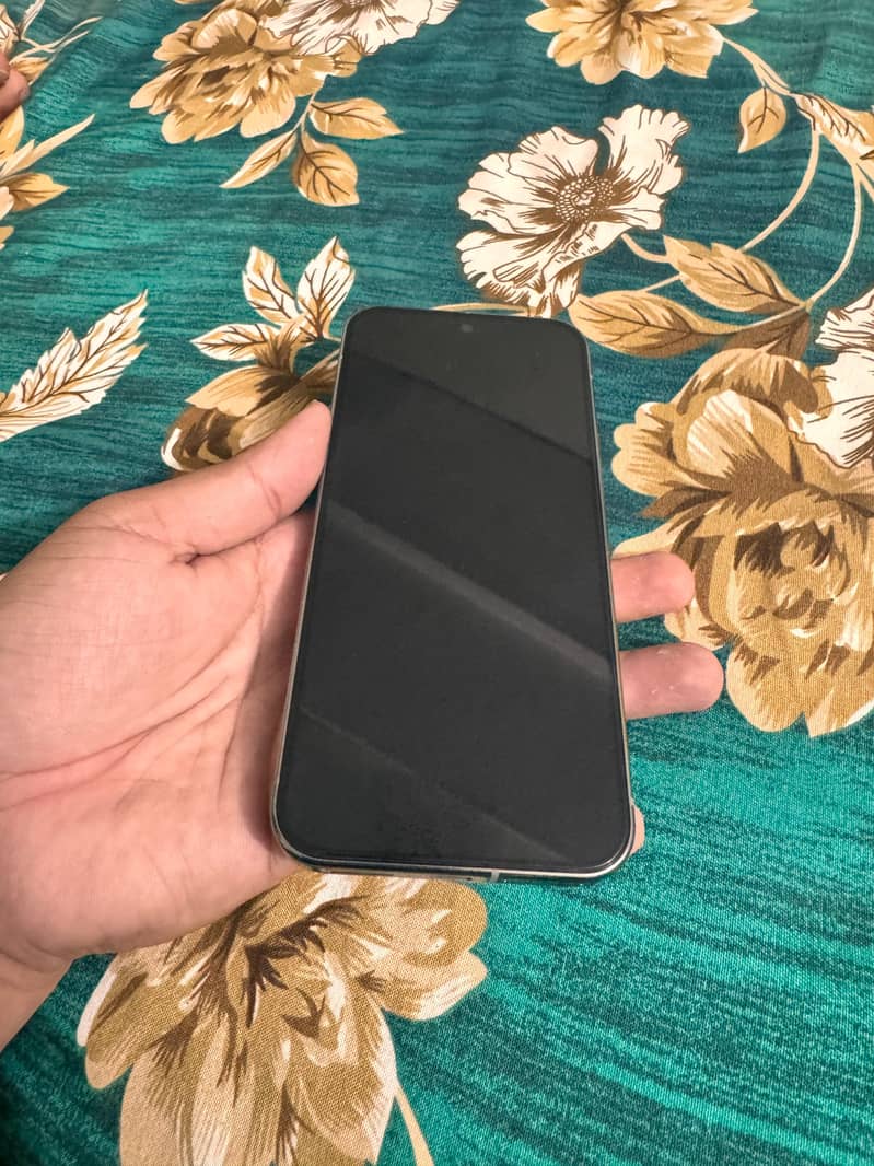 Google Pixel 9 Pro XL 4