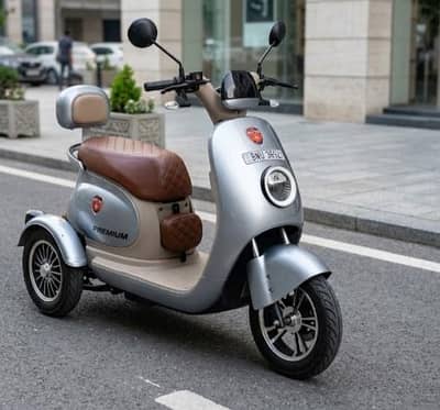 METRO 3 WHEELER BIKE