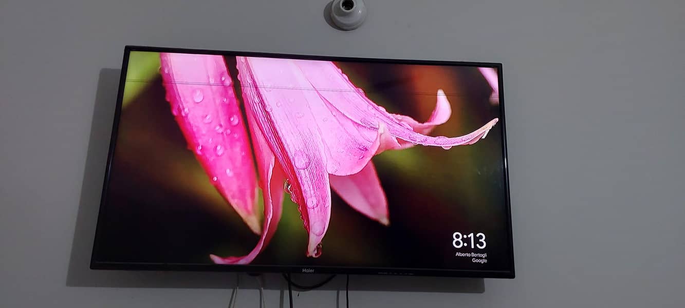 haeir led 2