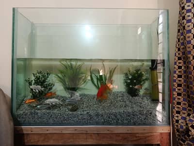 Big Size Aquarium For sell