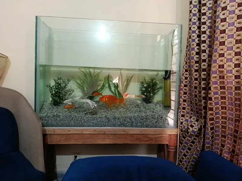 Big Size Aquarium For sell — photo 2