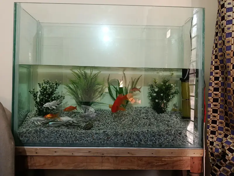Big Size Aquarium For sell — photo 3