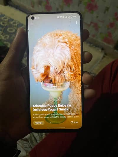 OPPO Reno ,6,all ok h koi musla nhi h Bai 8 +,8,128