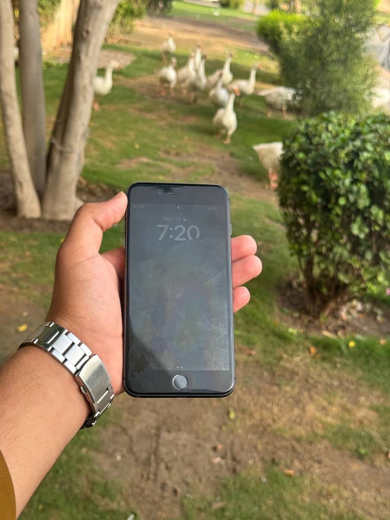 Apple iPhone 8 Plus 3