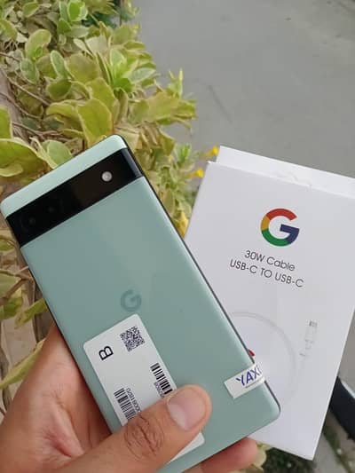 Google Pixel 6a OFFICIAL PTA APPROVED