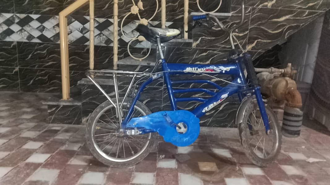 Bicycle 1