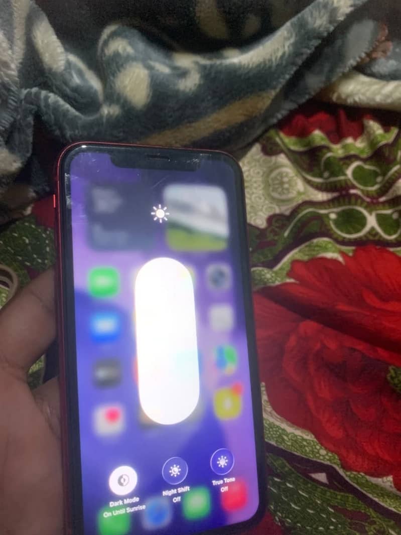 Apple iPhone 11 2