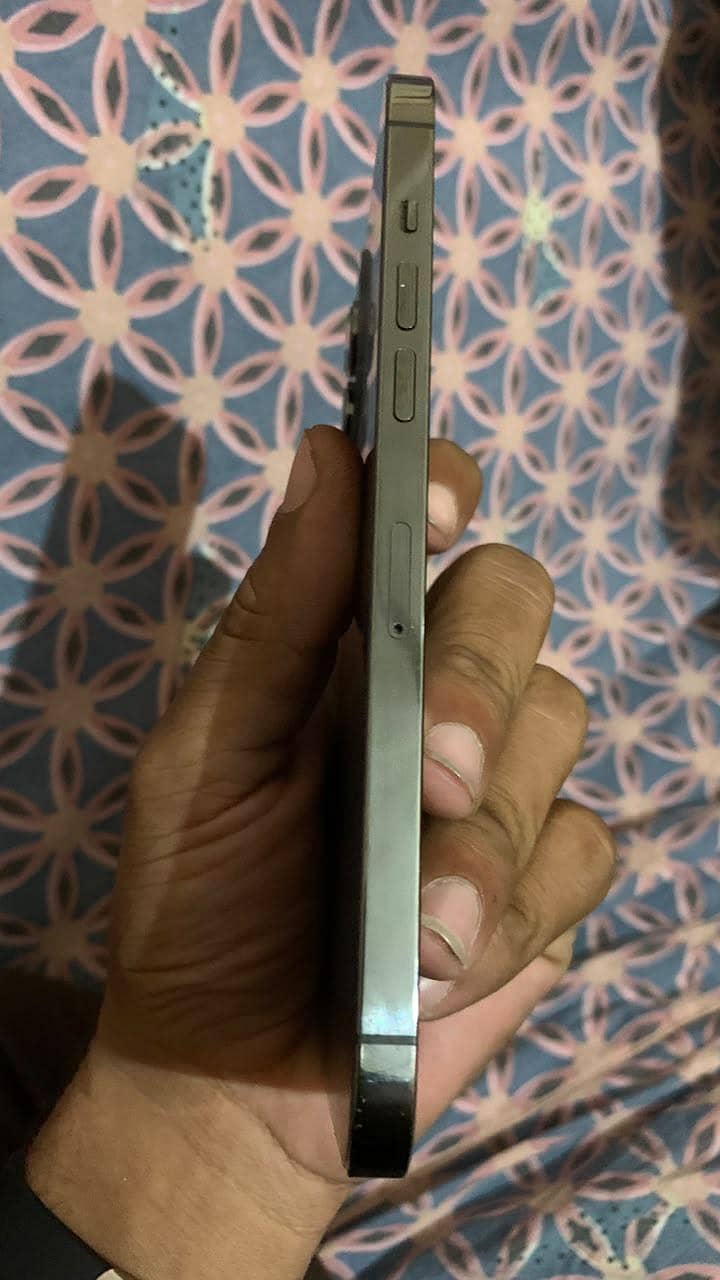 Apple iPhone 12 Pro Max 1