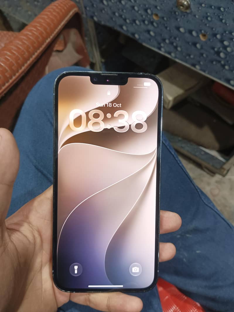 Apple iPhone 13 Pro Max 1