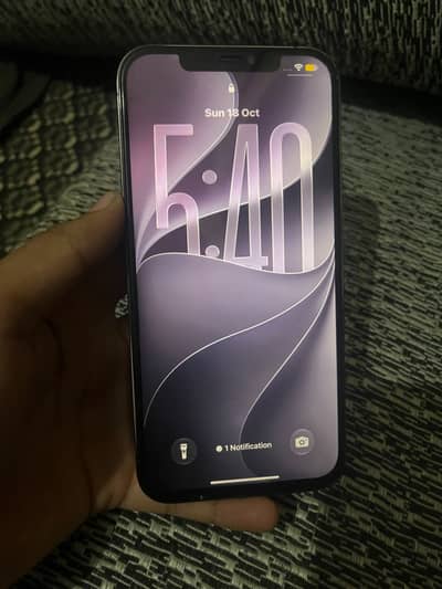 Apple iPhone 12 Pro Max