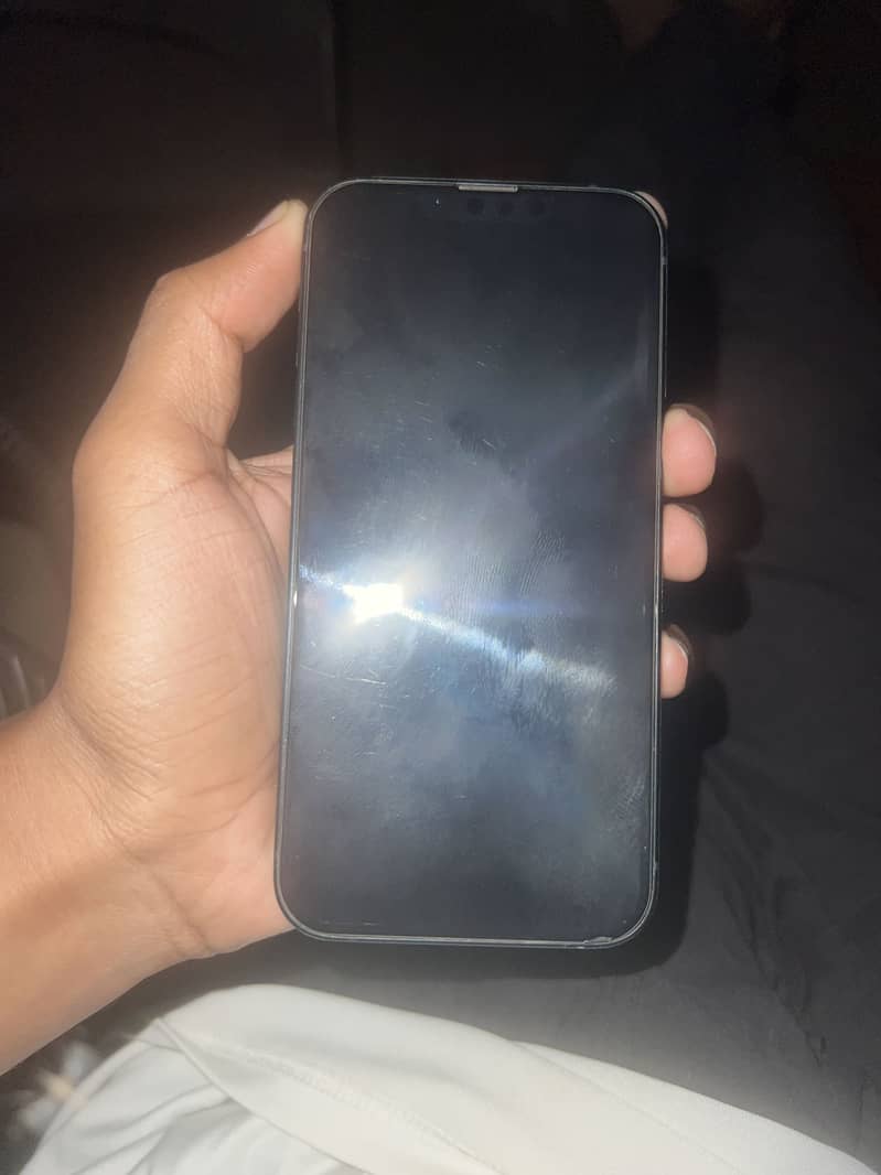 Apple iPhone 13 0